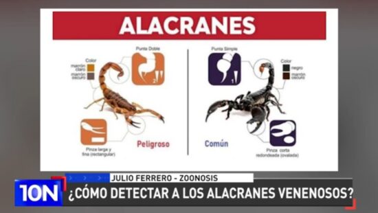 ALACRANES