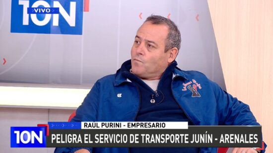 Purini: "Estamos evaluando cortar el servicio a mediados de julio" 3 PURINI 2