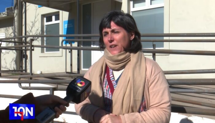 Lanzan campaña de vacunación antirrábica gratuita junto a veterinarias adheridas 1 AGUS