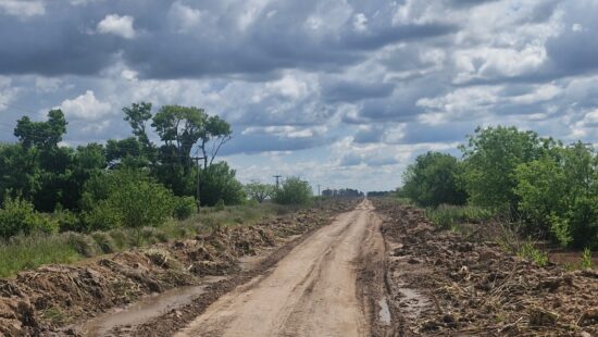 camino